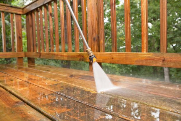 Animal Enclosure Cleaning in Pomona, NY