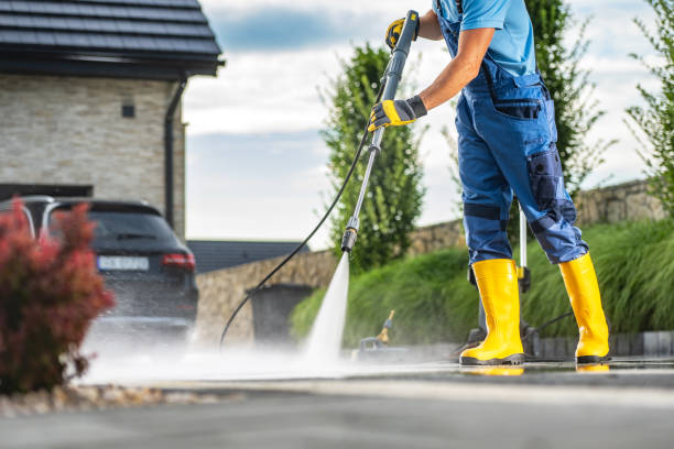 Best Animal Enclosure Cleaning  in Pomona, NY